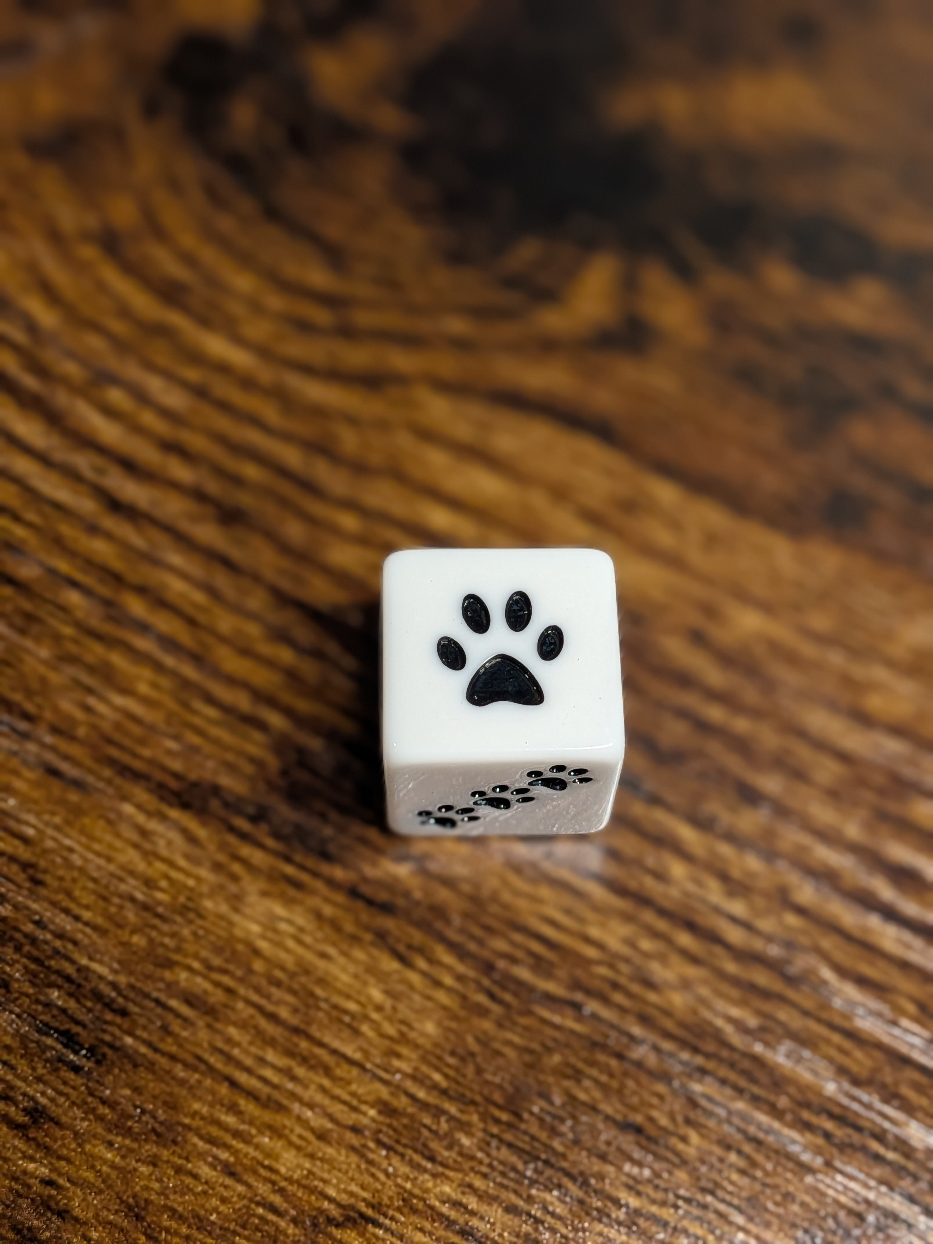 Babette's Kibble N' Crits