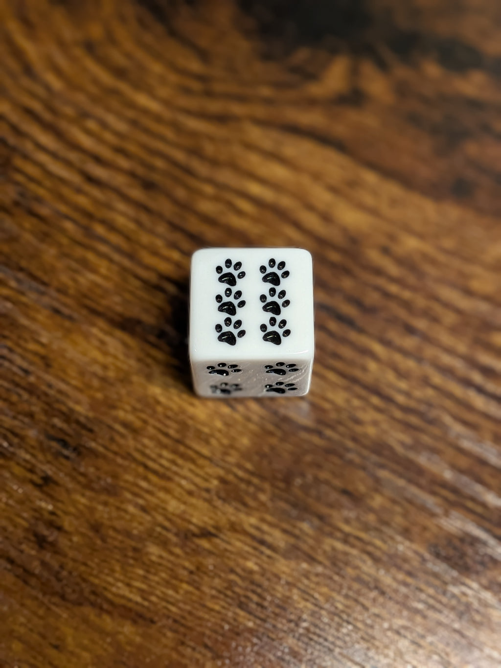 Babette's Kibble N' Crits